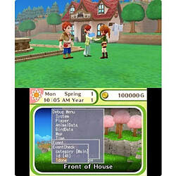 Acheter KOCH Media Harvest Moon: Le village de l'arbre céleste - 3DS