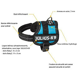 Avis Julius K9 Harnais Power Julius-K9 - Baby 1 - XS : 30-40 cm-18 mm - Rouge - Pour chien