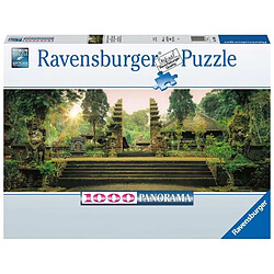 Avis RAVENSBURGER PUZZLE- Ravensburger 40055556333 Jeu de Puzzle 1000 pièce(s), 17049