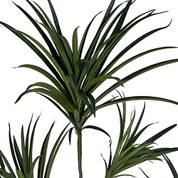 BigBuy Home Plante décorative Caoutchouc polypropylène 90 X 90 X 220 CM