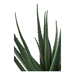 Acheter EPIKASA Plante Artificielle Aloe