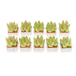 Arbres miniatures maison poupée micro paysage