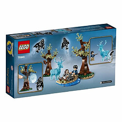 Ludendo Expecto Patronum LEGO Harry Potter 75945