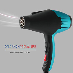 Acheter Universal Sèche-cheveux professionnel puissant 1800W Sèche-cheveux à ions négatifs Électrique Ventilateur Onduleur d'air chaud/froid Réglage de la vitesse(Bleu)