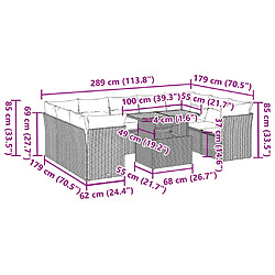 Acheter vidaXL Salon de jardin avec coussins 10 pcs gris résine tressée