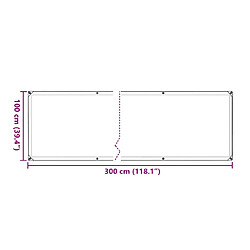 Acheter vidaXL Bâche transparente avec œillets 1x3 m polyéthylène