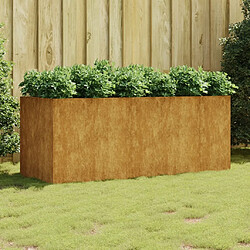 Maison Chic Jardinière,Lit surélevé de jardin - Bac à fleurs - pot de fleur 200x80x80 cm acier corten -GKD33829