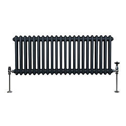 Monstershop Radiateur Traditionnel à Double Colonne – 300 x 1012 mm – Gris Anthracite