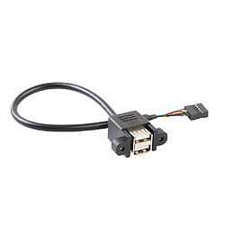 Avis Double USB 2.0 Femêlle À 9 Pins Carte Mère Câble de Connexion Header Corde