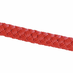 CHAPUIS SELLERIE Laisse pour Chien Corde Polypropylène Rouge, Diamètre 10 mm, Longueur 120 cm, Taille M