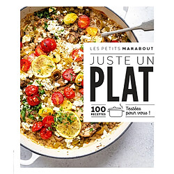 Juste un plat : 100 recettes testées pour vous !