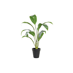 Plante décorative DKD Home Decor Vert PE (25 x 25 x 57 cm)