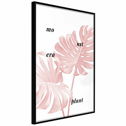 Paris Prix Affiche Murale Encadrée Pale Pink Monstera 20 x 30 cm Noir