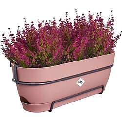 Avis ELHO Planteur Rectangle VIBIA - Plastique - Réservoir - Ø50 - Rose Poussiere