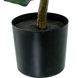 Plante décorative Alexandra House Living Plastique Ficus 90 cm