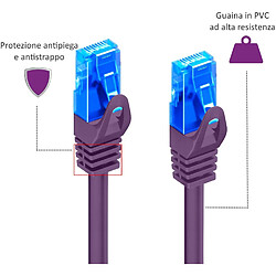 Ewent Câble réseau Type Patch Cat 5e U/UTP, AWG 26/7, 2 connecteurs RJ45 Violet Aubergine 0,25 MT