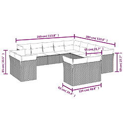 Acheter vidaXL Salon de jardin avec coussins 13 pcs noir résine tressée