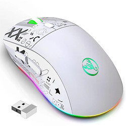 Yonis Souris Gaming Sans Fil RGB 3 Modes Rechargeable