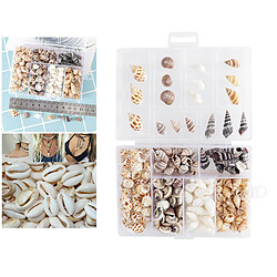 Acheter 100g Plage Mer Coquilles Spirale Shell Perles Coquillages Naturels pour Fish Tank, Plage Soirée à Thème, fabrication de bougies, de Mariage Décor À La