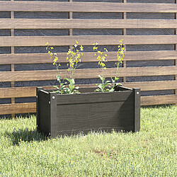 vidaXL Jardinière Gris 60x31x31 cm Bois de pin massif