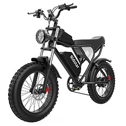 Vélo électrique Ridstar Q20, moteur sans balais 1000W, gros pneus 20 x 4,0 pouces, batterie amovible 48V 20Ah, vitesse maximale de 48km/h, Autonomie 120 km