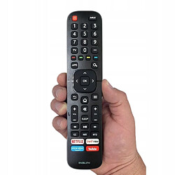 GUPBOO Télécommande Universelle de Rechange à Hisense Smart TV avec NETFLIX Vous