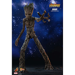 Avis Hot Toys MMS475 - Marvel Comics - Avengers 3 : Infinity War - Groot