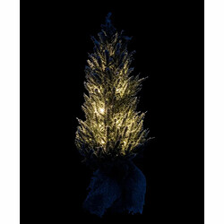 Avis Paris Prix Sapin de Noël à LED Pot Jute 58cm Vert