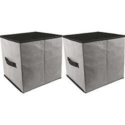 The Home Deco Factory Cube de rangement 30 x 30 cm Smart (Lot de 2).