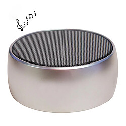 Yonis Enceinte Bluetooth PortableAvec Micro Et Subwoofer Supporte Carte TF Et AUX