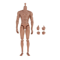 Figurine d'action masculine