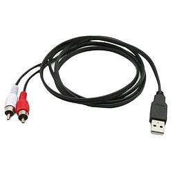 Avis Câble USB vers 2 RCA Jack Splitter Audio Video AV Composite Câble Adaptateur pour TV/PC