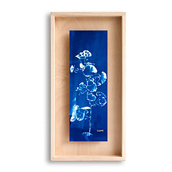 Swabdesign Cadre Carpë cyanotype Gingko 40x20cm