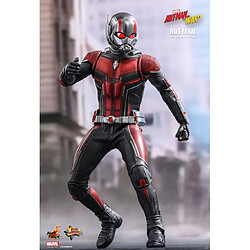 Acheter Hot Toys MMS497 - Marvel Comics - Ant-Man 2 : Ant-Man And The Wasp - Ant-Man