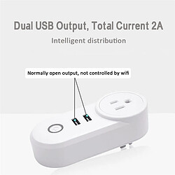 Acheter Yonis Prise Connectée ZigBee 3.0 Double USB Contrôle Vocal 16A Blanc