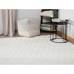 Avis Beliani Tapis rectangulaire blanc cassé 160 x 230 cm ERZIN