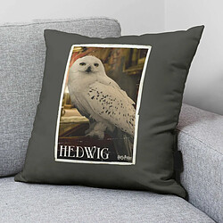 Housse de coussin Harry Potter Hedwig 50 x 50 cm