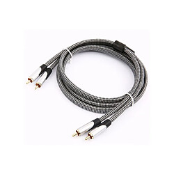 Cable audio Jvc 2 RCA CABLE M/M 1,5M