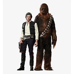 Hot Toys MMS263 - Star Wars 4 : A New Hope - Han Solo & Chewbacca