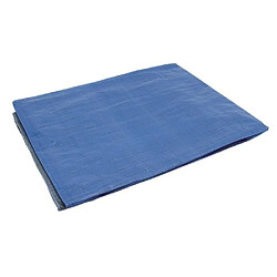 COGEX Bâche de protection 2x3m