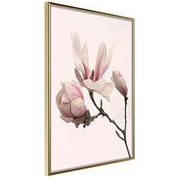 Paris Prix Affiche Murale Encadrée Blooming Magnolias II 20 x 30 cm Or