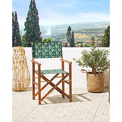 Beliani Chaise de jardin CINE Bois Vert foncé