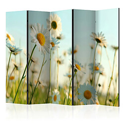 Artgeist Paravent - Daisies - spring meadow II [Room Dividers] [225x172]