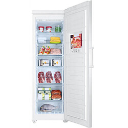 Avis Congélateur armoire 60cm 262l nofrost - h2f255wsaa - HAIER