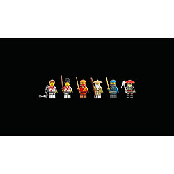 Acheter 71787 La boîte de briques créatives ninja LEGO® NINJAGO®