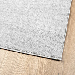 Avis vidaXL Tapis OVIEDO à poils courts gris 80x150 cm