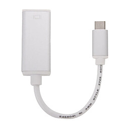 Wewoo Câble argent pour MacBook 12 pouces, Chromebook Pixel 2015, Tablette Tactile Nokia N1, Longueur: environ 10 cm adaptateur USB-C / Type-C 3.1 vers Display