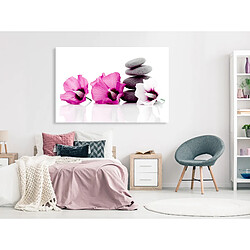 Artgeist Tableau - Calm Mallow (1 Part) Wide Pink [30x20]