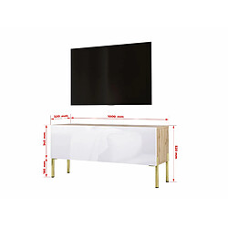 Avis 3XELIVING Meuble TV en couleur Chêne wotan / Blanc Brillant avec pieds droits en or, D: l : 100 cm, H : 52 cm, P : 32 cm