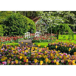 Nathan 1000p puzzle Le jardin de Keukenhof aux Pays-Bas